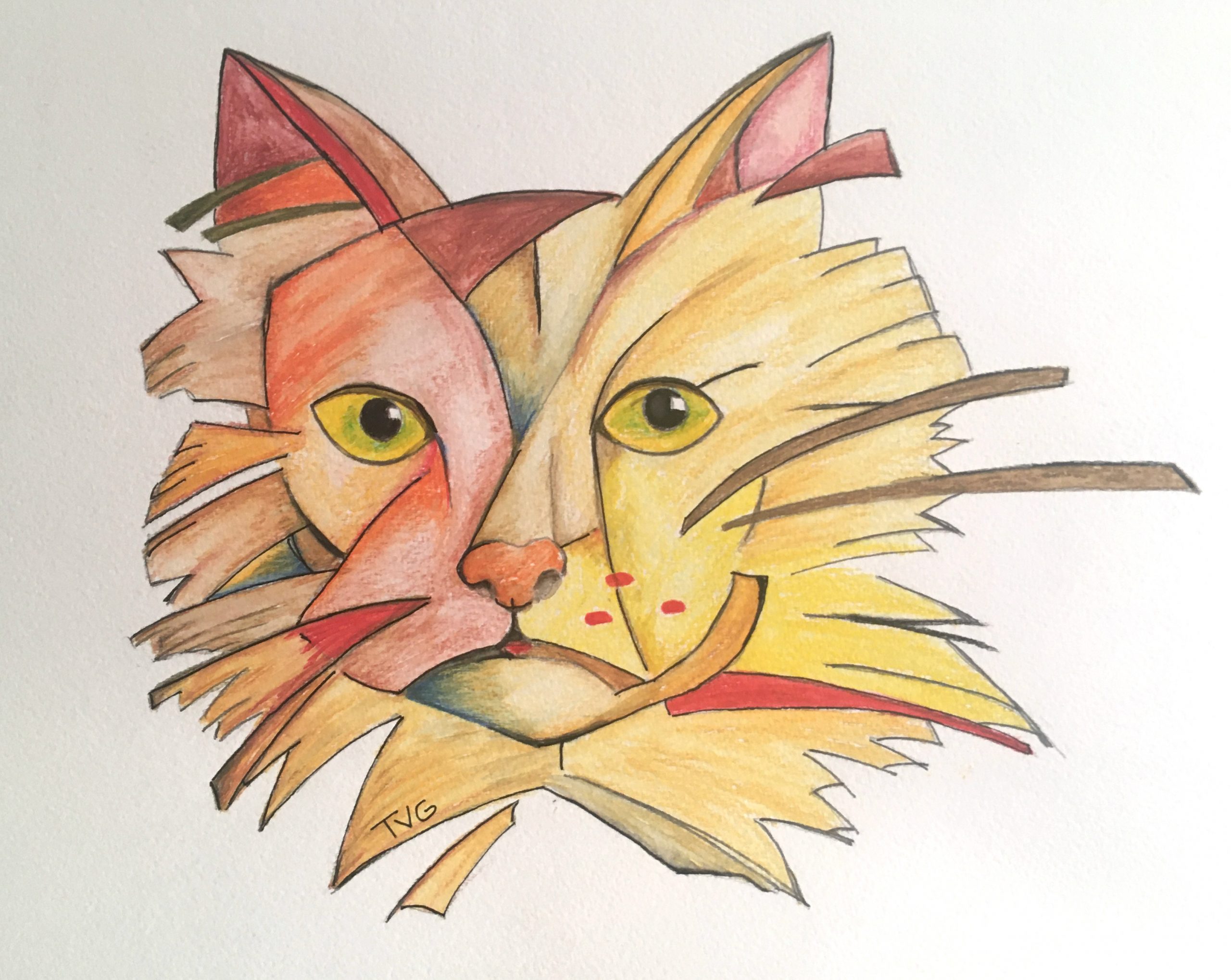 TVG Norwegian forest