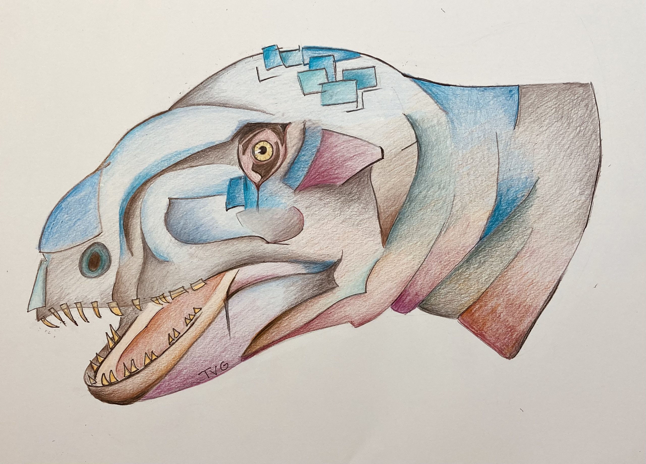 Llukalkan aliocranianus