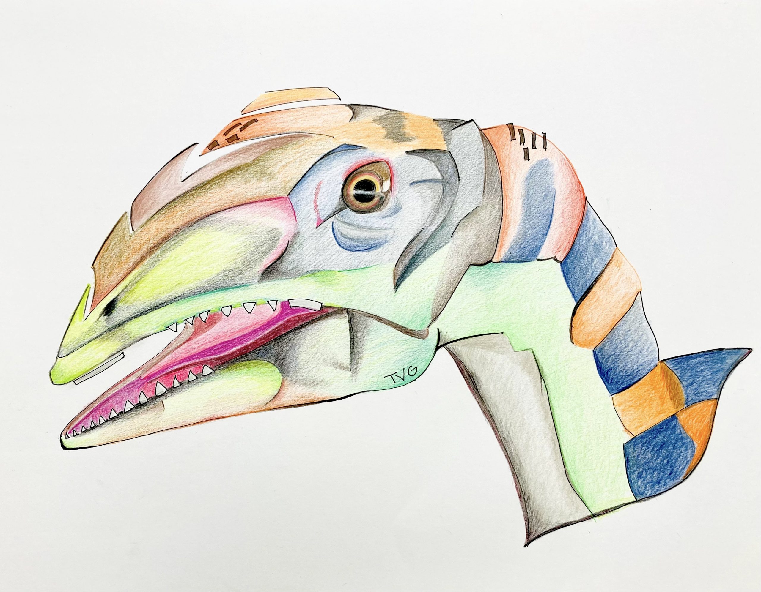 llukalkan aliocaranianus